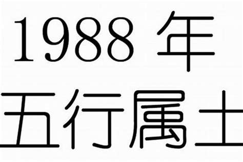 1988五行